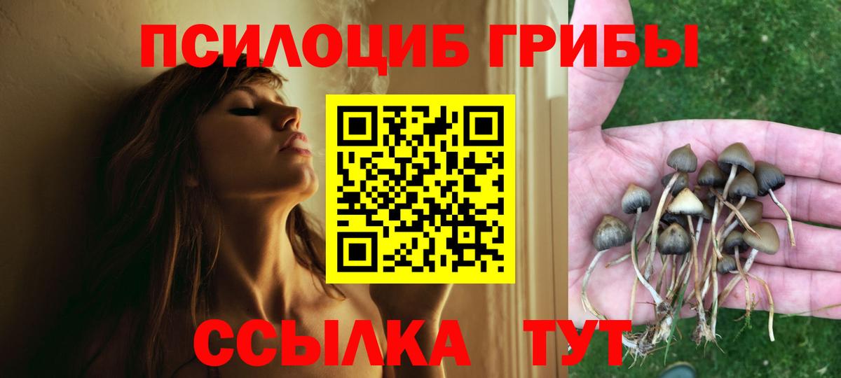 Севастополь  Галлюциногенные грибы GOLDEN TEACHER  Вход с VPN 