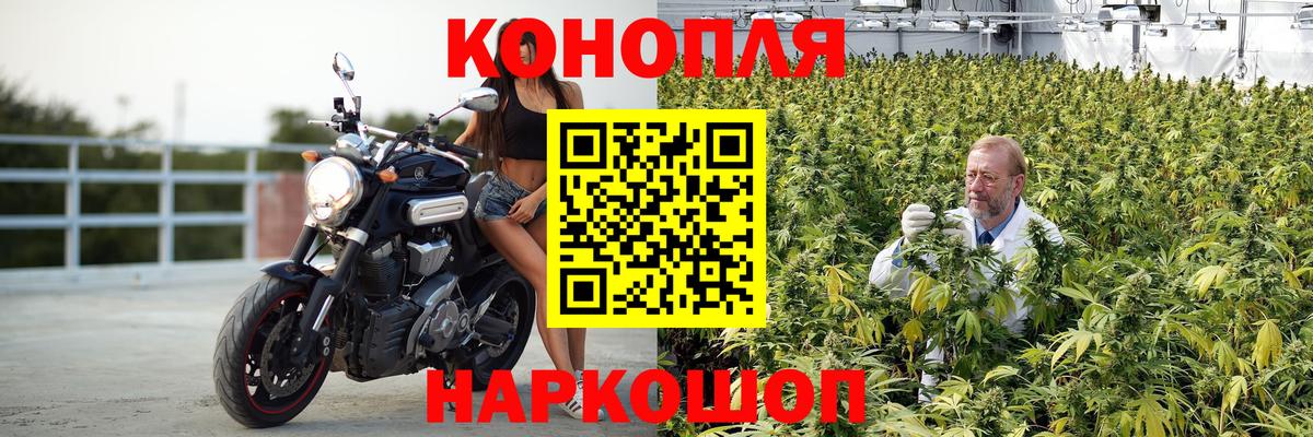 Бошки Шишки OG Kush Севастополь